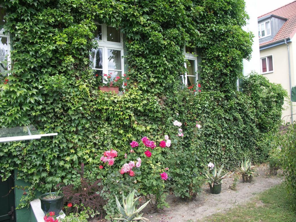3 Sterne Hotel Frankfurt-Oder Zur Alten Oder Frankfurt an der Oder Exterior foto